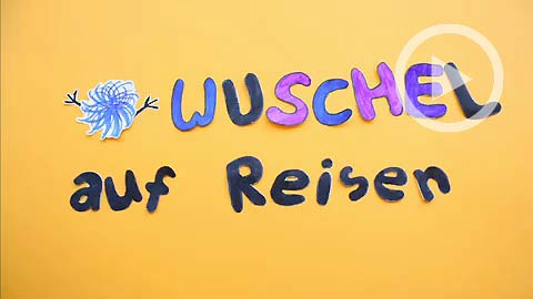 Wuschel auf Reisen